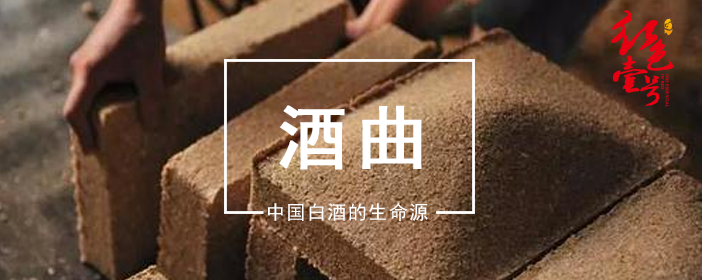 酒曲中國(guó)白酒的生命源702.png