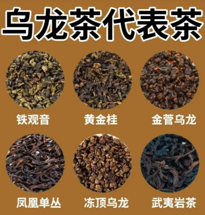 烏龍茶代表.png