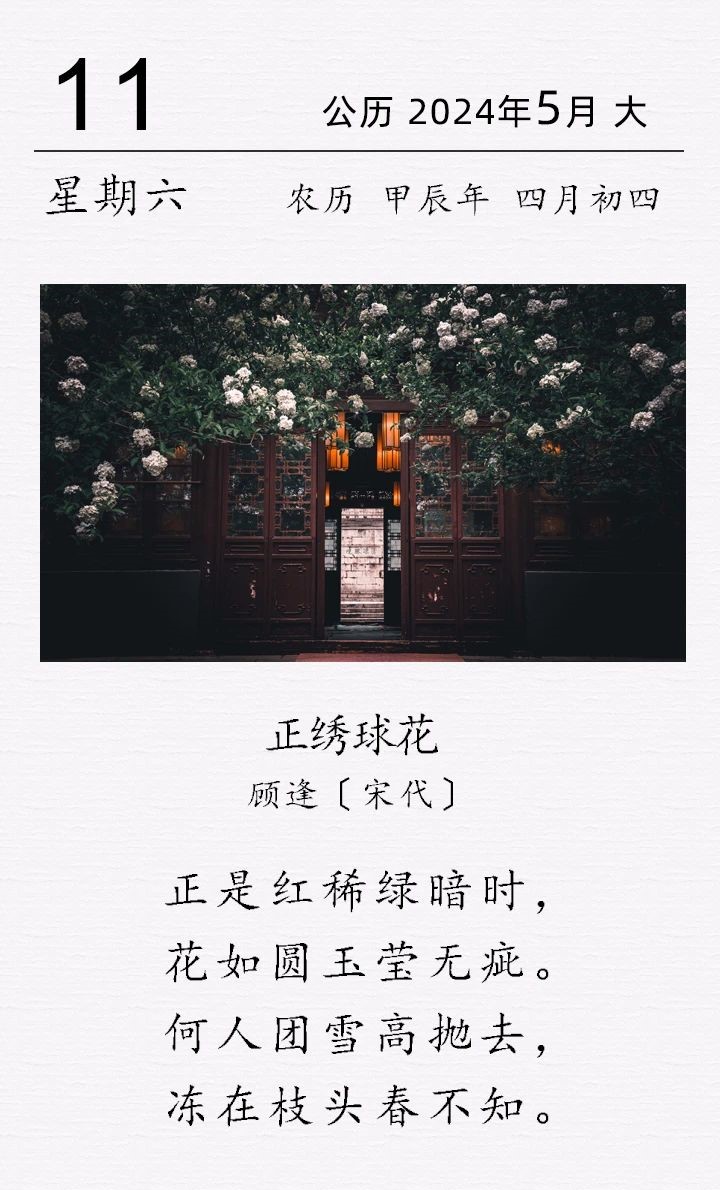 顧逢《正繡球花》.jpg