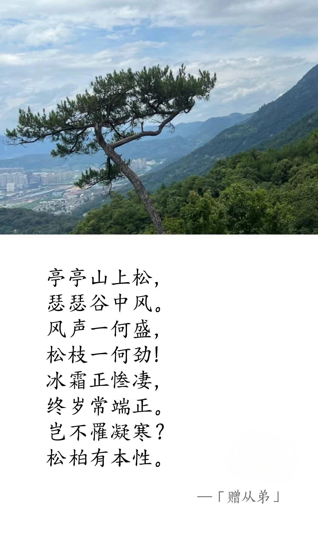 魏晉·劉楨《贈(zèng)從弟》.jpg