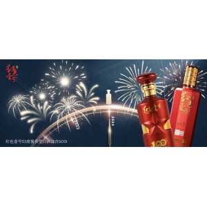 舉起2024年的酒杯！