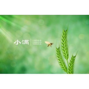 今日小滿(mǎn)｜人生不求太滿(mǎn)，小滿(mǎn)即是圓滿(mǎn)