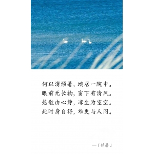 唐 · 白居易《消暑》