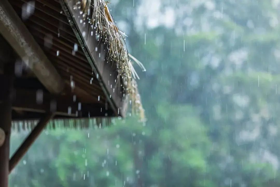 聽雨聞香，再喝一壺不求解渴的酒.jpg